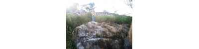  ஐயன்மலை - நாகர்கோயில் தமிழ்நாடு